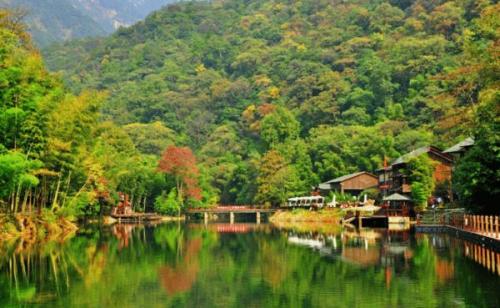 祁门牯牛降景区旅游攻略_祁门牯牛降景区在哪