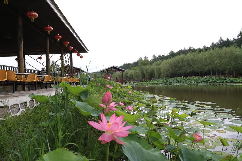 长春天怡温泉度假山庄旅游攻略_长春天怡温泉
