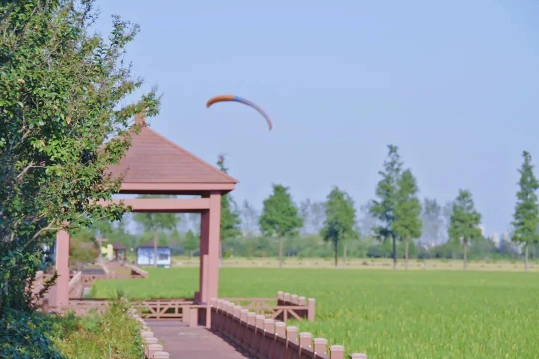 林渡暖村:农文旅融合新模式,景程文旅勾勒乡村新图景