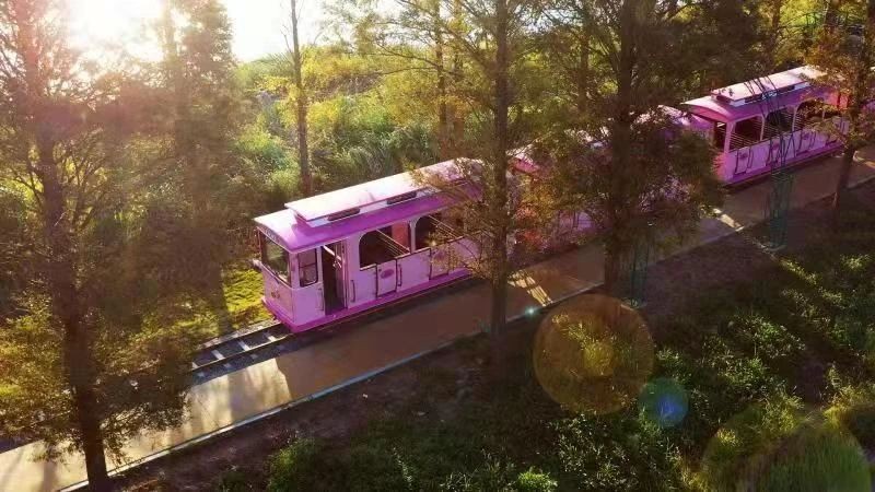 林渡暖村:农文旅融合新模式,景程文旅勾勒乡村新图景